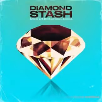 The Sample Lab Diamond Stash Vol.1 [WAV]