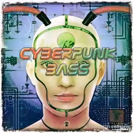 Toolbox Samples Cyberpunk Bass [WAV]