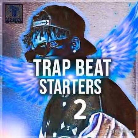 Toolbox Samples Trap Beat Starters Vol 2 [WAV]