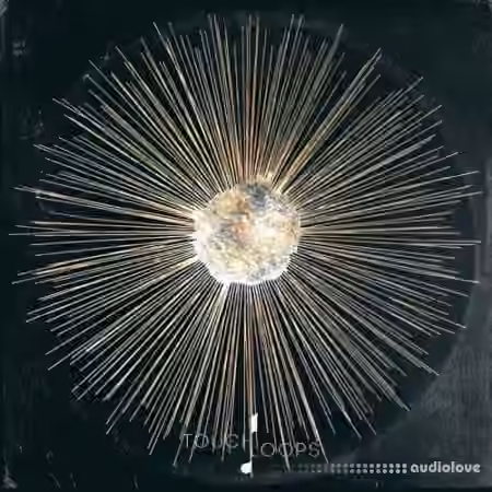 Touch Loops Dusty Projections [WAV]