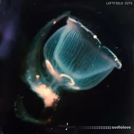 Touch Loops Leftfield Cuts [WAV]