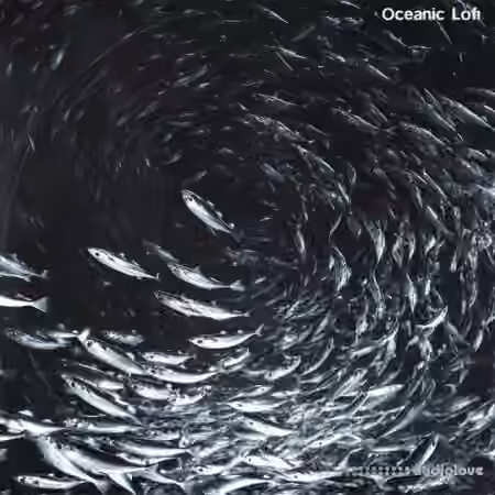 Touch Loops Oceanic LoFi [WAV]