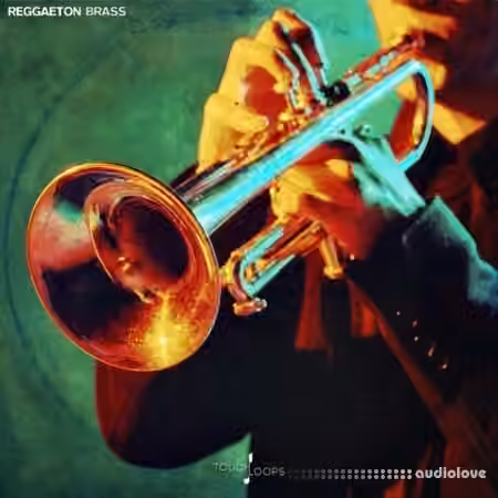 Touch Loops Reggaeton Brass [WAV]