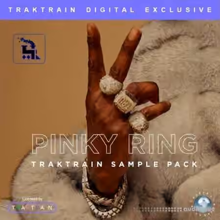 TrakTrain Pinky Ring [WAV]