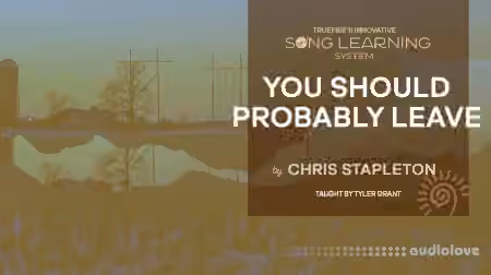 Truefire Tyler Grant's Song Lesson: You Should Probably Leave by Chris Stapleton [TUTORiAL]