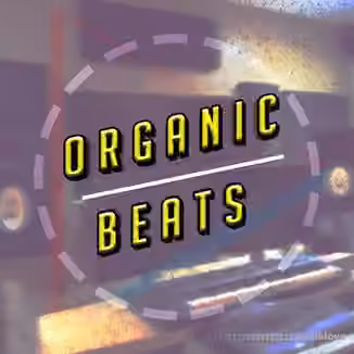 Udemy Creating Organic Beats in FL Studio [TUTORiAL]
