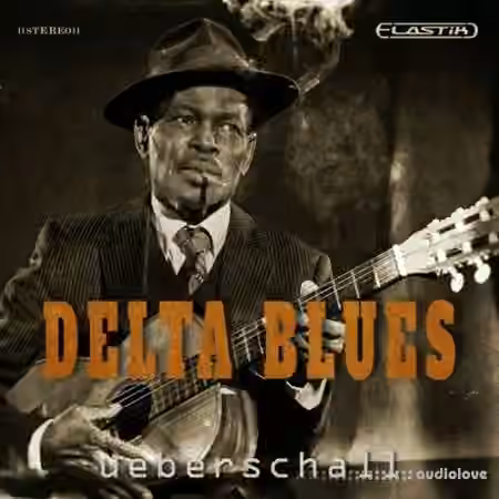 Ueberschall Delta Blues [Elastik]