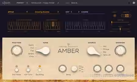 UJAM Virtual Guitarist AMBER v1.0.2 [MacOSX]