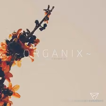 Unmute ORGANIX [WAV, MiDi, Synth Presets]