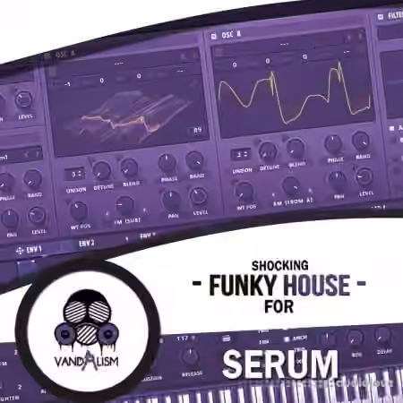 Vandalism Sounds Shocking Funky House For Serum [Synth Presets]