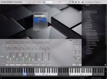 Vienna Symphonic Library Studio Special Edition Vol.2 for Synchron Player