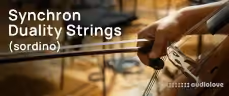 Vienna Symphonic Library Synchron Duality Strings Sordino Full for Synchron Player
