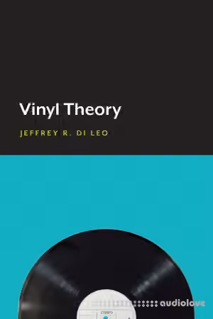 Vinyl Theory