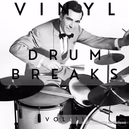 Vinyl Zen Vinyl Drum Breaks Vol.11 (22 Drum Breaks Perfectly Looped) [WAV]