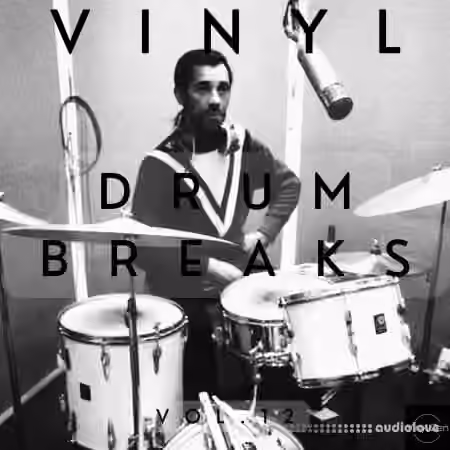 Vinyl Zen Vinyl Drum Breaks Vol.12 (22 Drum Breaks Perfectly Looped) [WAV]