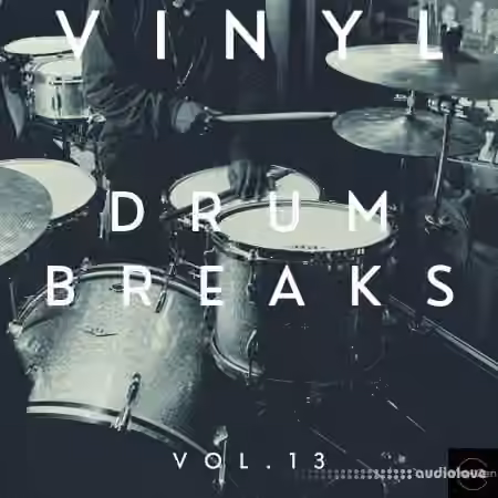 Vinyl Zen Vinyl Drum Breaks Vol.13 (22 Drum Breaks Perfectly Looped) [WAV]