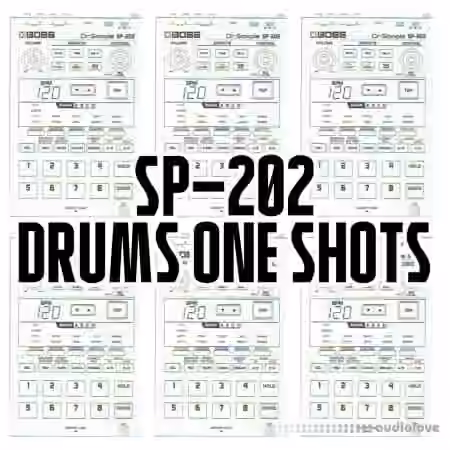 Vu SP-202 drums one shots [WAV]