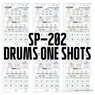 vubeatz Sp202 Drums One Shots [WAV]