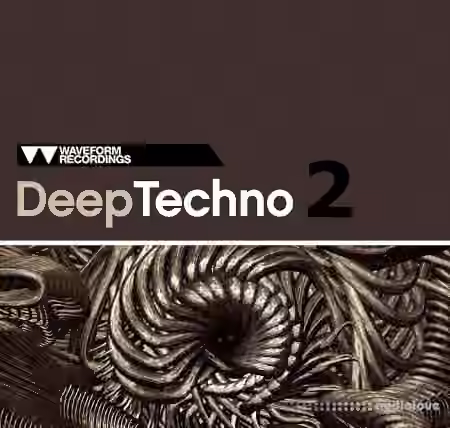 Waveform Recordings Deep Techno 2 [WAV]