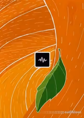 WavSupply JRHITMAKER Fanta [WAV]