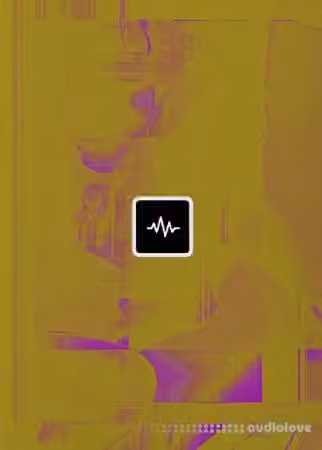 WavSupply mjNichols Midnite [Synth Presets]