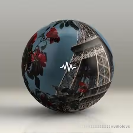 WavSupply nico baran Paris (Loop Kit) [WAV]