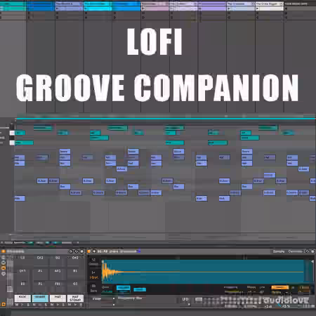 Will Hatton LoFi Groove Companion [DAW Templates]