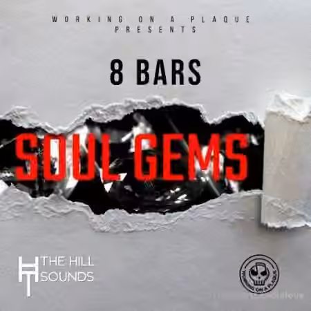 Working On A Plaque 8 Bars Soul Gems [WAV]