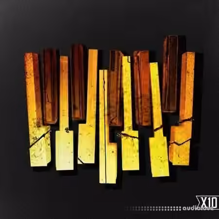 X10 Haunted Keys Vol.2 Drill X Trap [WAV]